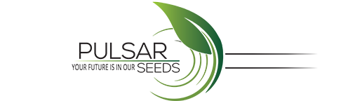 PULSARSEEDS