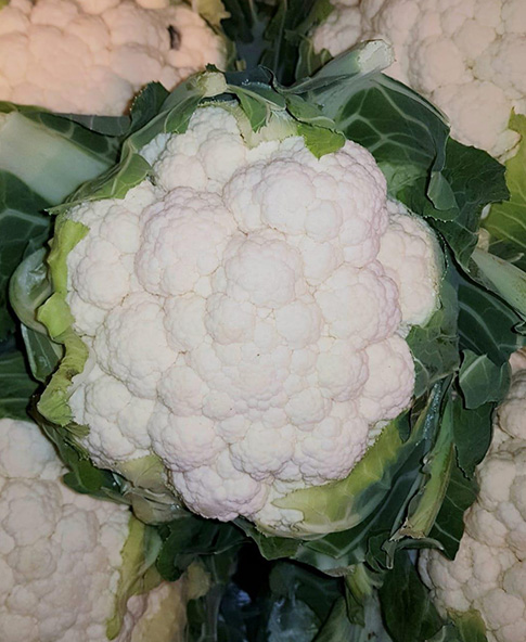 Cauliflower