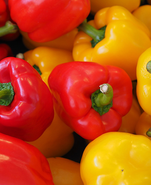 Pepper